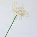 Silk decoration with spider lilies artificial flowers - Champagne