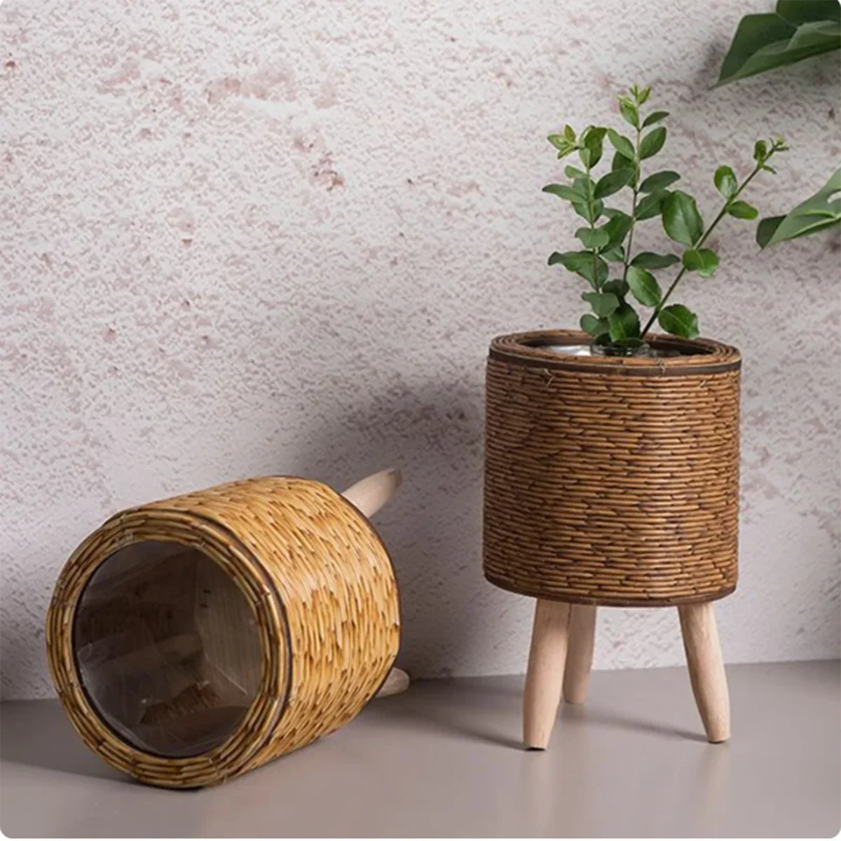 Creative storage frame for plants and flowers - view 3