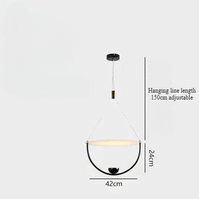 Minimalist Nordic acrylic chandelier for modern decoration - C-Black-D42cm / 220V / Cool Light 6000K