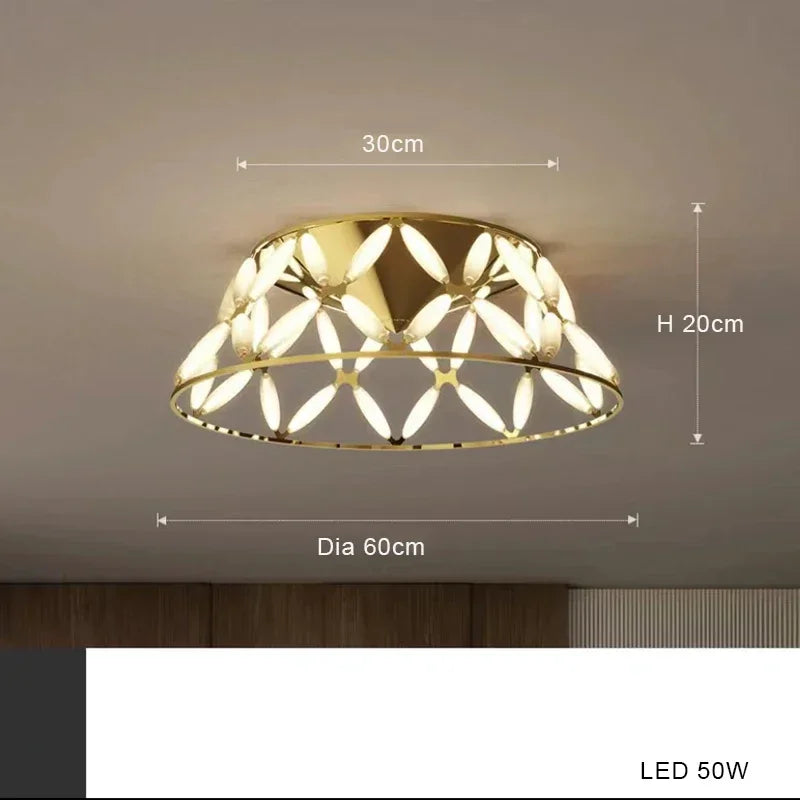 Modern Nordic chandelier creative led lamp for interior decoration - Plafond B 60cm / Silver / White Light