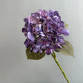 Black Purple