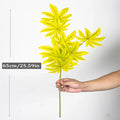 65cm Green
