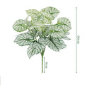 Taro2