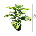60cm No Pot Yellow