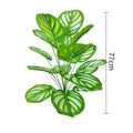 75cm No Pot Green