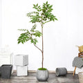 Large artificial plants for interior and exterior decoration