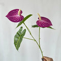 Pink Purple
