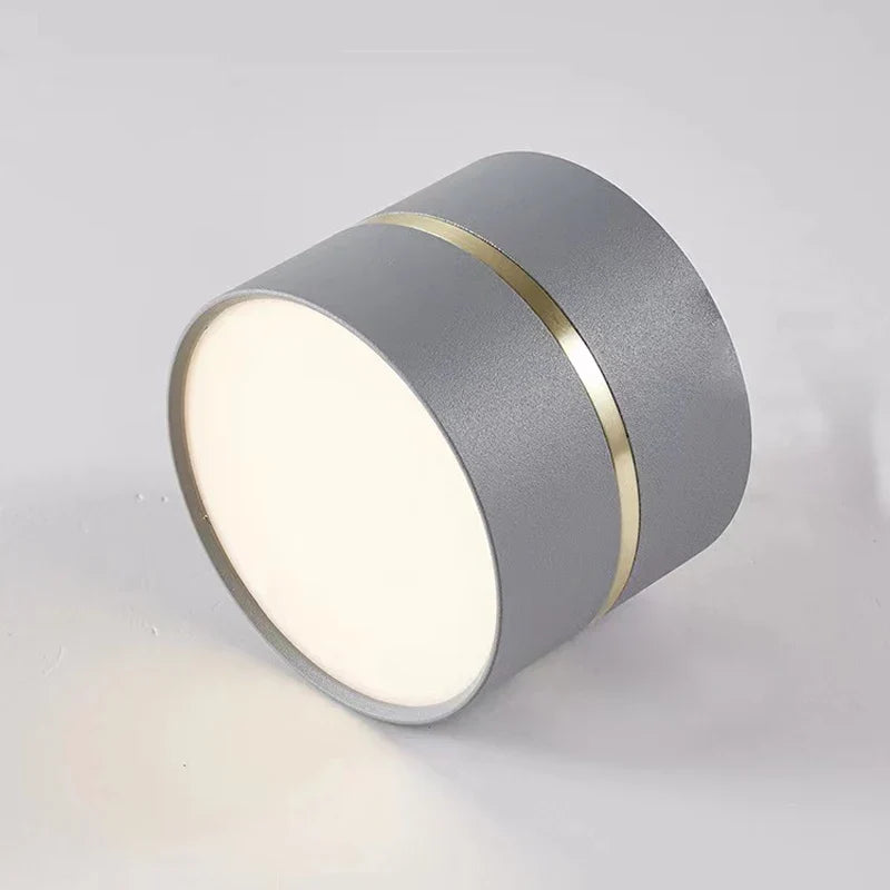 Minimalist led spot for modern and elegant interior - Grey / 4000k Natural White / 12W No Dimmable