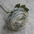 Gray Blue