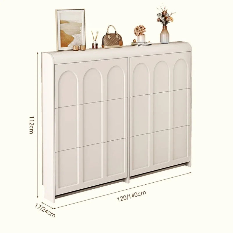 Shoe organizer bag tote for home and storage - view 5