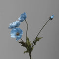 Type B Bright Blue