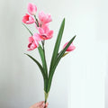 Dark Pink
