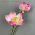 Small Pink