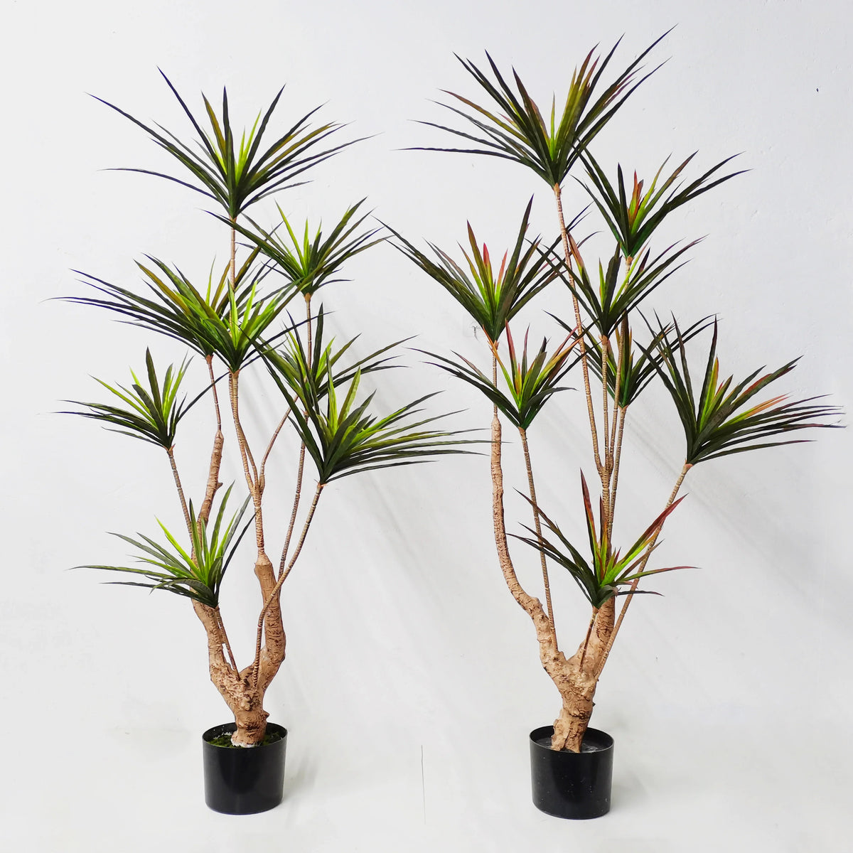 Artificial plants dracaena for tropical interior decoration - view 9