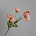 Type B Coral Pink
