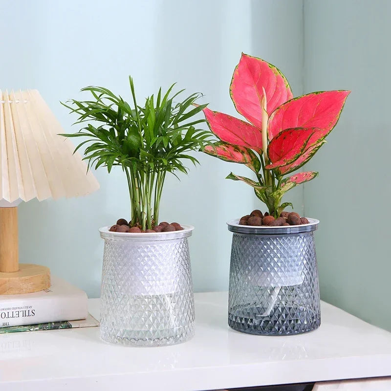 Self Watering Plant Pots, Lazy Hydroponic Water Absorbing Flower Pot, Mini Succulent Planter Tabletop Vase, Home bonsai decor - view 2