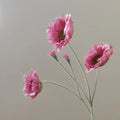 Dark Pink
