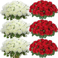 Red Ivory 50 Pieces