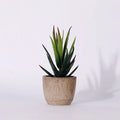 Artificial succulent plants for modern interior decoration - Style 12