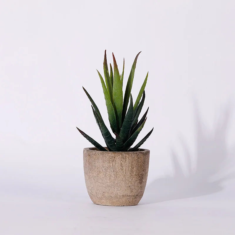 Artificial succulent plants for modern interior decoration - Style 12