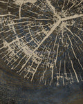 Abstract posters on the rings of the trees wall decoration - 60X90cm Unframed / 1