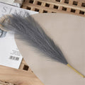 Decoration grass of pampa bouquet false reeds for festive event - Dark Gray