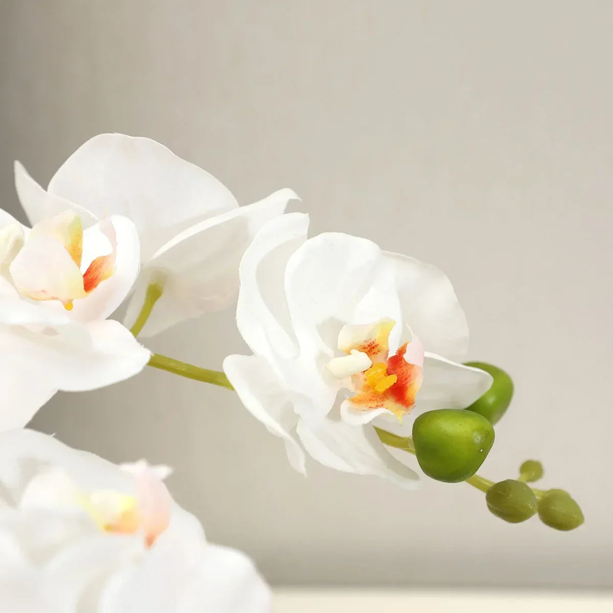 Artificial phalaenopsis realistic flowers for various decorations - view 6