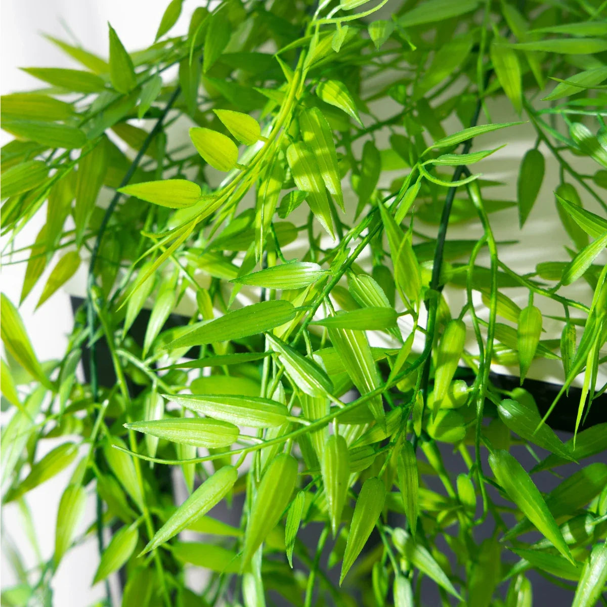 Plastic hanging plants for interior and exterior decoration - view 3