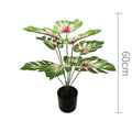 55cm No Pot Red