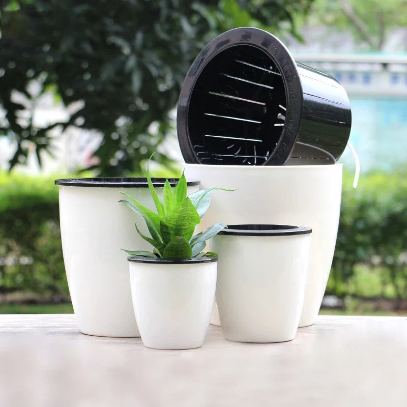 Modern self-watering gardener for succulent plants and orchids
