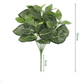 Reticulated Leaf