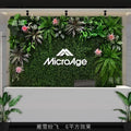 Artificial vegetable wall for outdoor decoration and landscaping - 23 / 200cmX200cm
