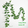 Parthenocissus Leaf 2