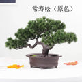 CS Primary Pine Color