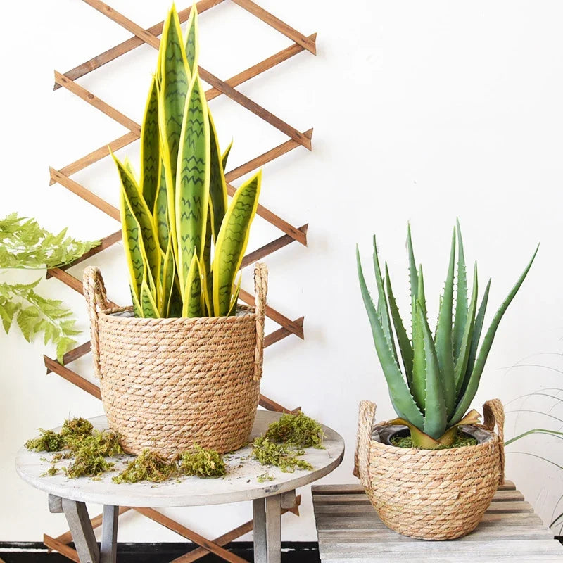 Handmade sea-sink storage basket for plants and flowers - view 3