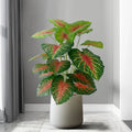 Artificial plant monstera for tropical interior and exterior decoration