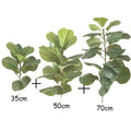 35cm and 50cm and 70cm