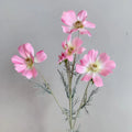 Pink B