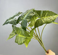Green Lug