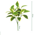Rosemary Leaf1