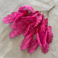 Pink Red