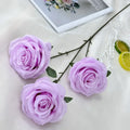 With Purple