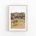 Spring floral photography in canvas for wall decoration - 40X50cm No Frame / 5