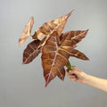Set of 2 artificial leaves for autumn party decoration - Red