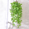 Hanging Artificial Scindapsus Leaf Plant, 105 cm