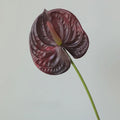 Garden decoration artificial leaves anthuriums for outdoors - Dark Red