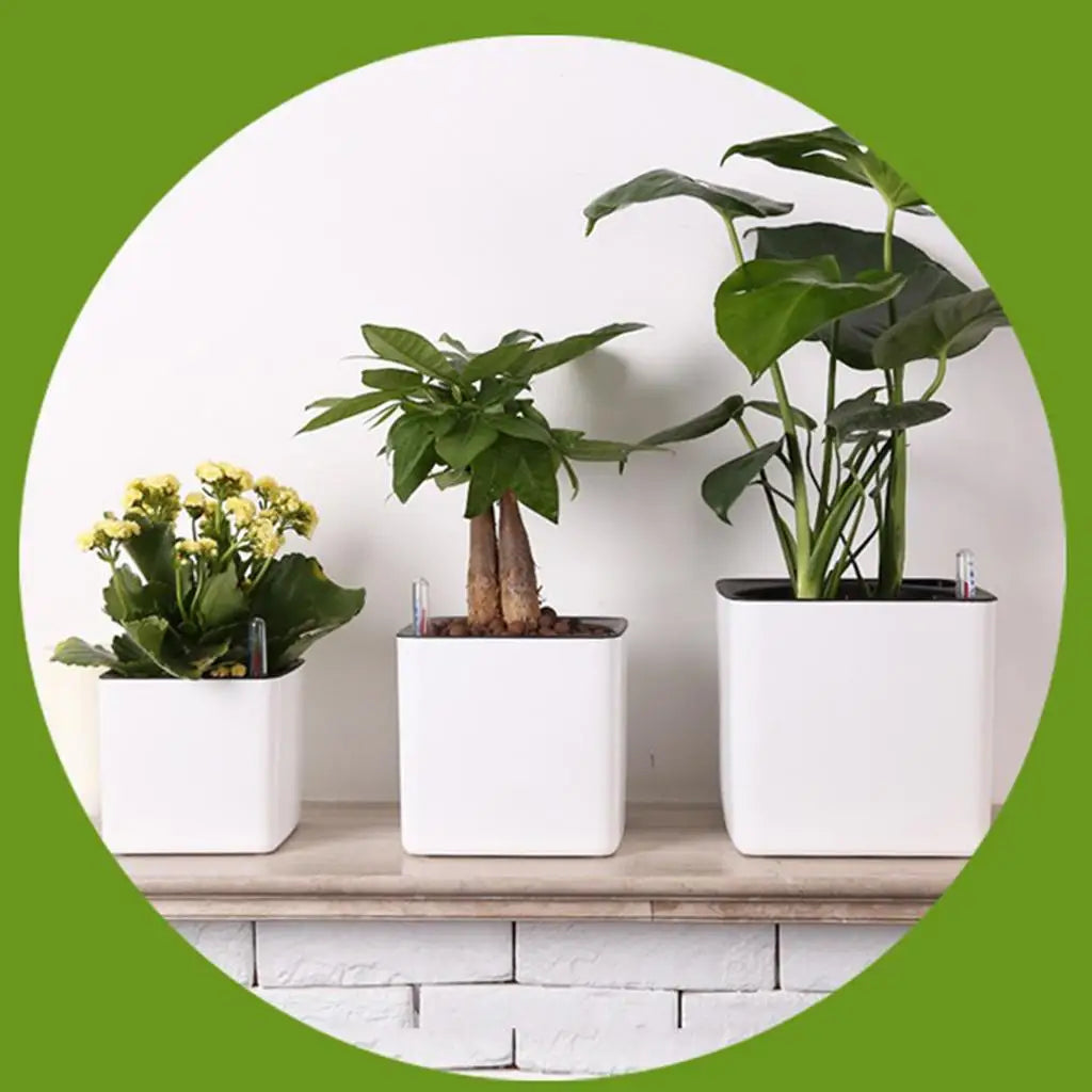 White Self Watering Planter, Water Indicator, Modern Decorative Planter Pot for all House Plants Flowers, Herbs, Vegetables - view 5