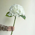 White Hydrangea
