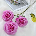 Light Pink Red