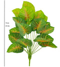 75cm Red Green